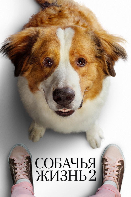 Собачья жизнь 2 (2019) — постер